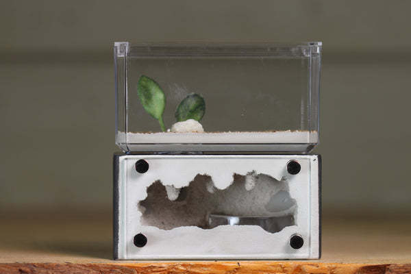 Mini Hearth (BF)(Grey 3044)