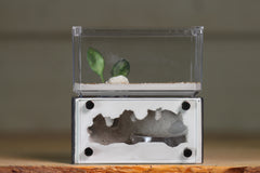 Mini Hearth (BF)(Grey 3044)