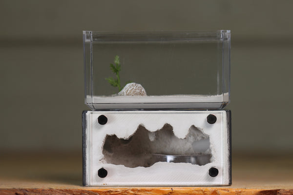 Mini Hearth (BF)(Grey 3050)