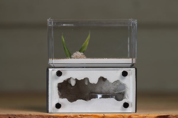 Mini Hearth (BF)(Grey 3051)