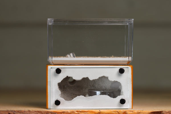 Mini Hearth (BF)(Terra 3053)