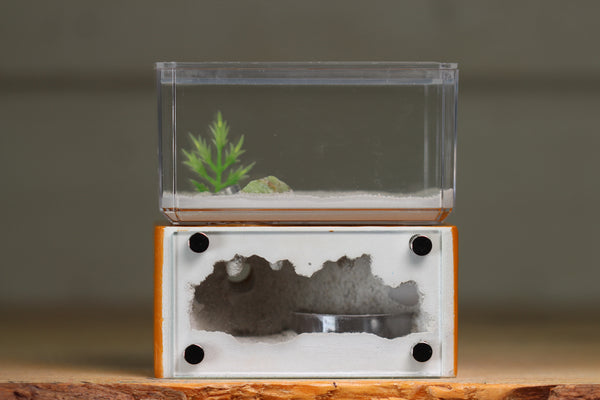 Mini Hearth (BF)(Terra 3055)