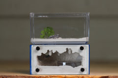 Mini Hearth (BF)(Dark Blue 3057)