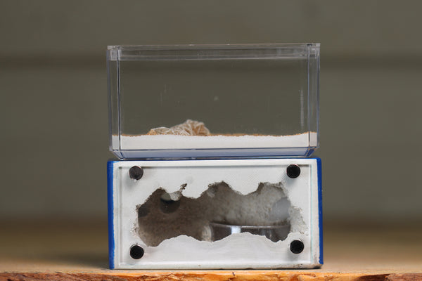 Mini Hearth (BF)(Dark Blue 3058)