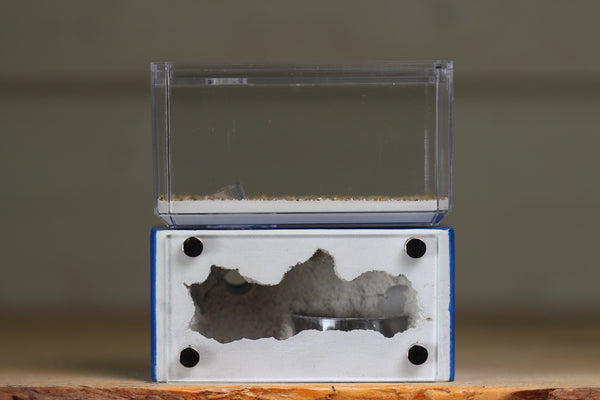 Mini Hearth (BF)(Dark Blue 3060)