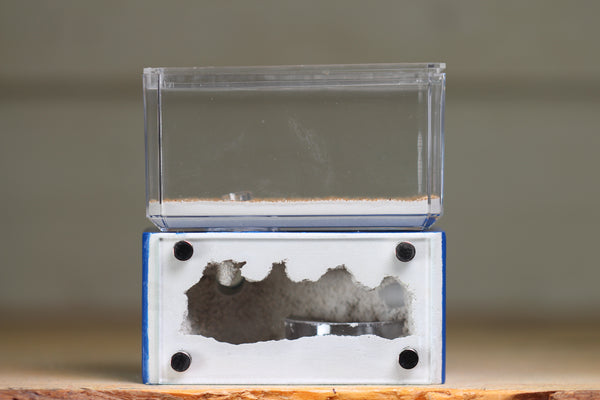 Mini Hearth (BF)(Dark Blue 3061)