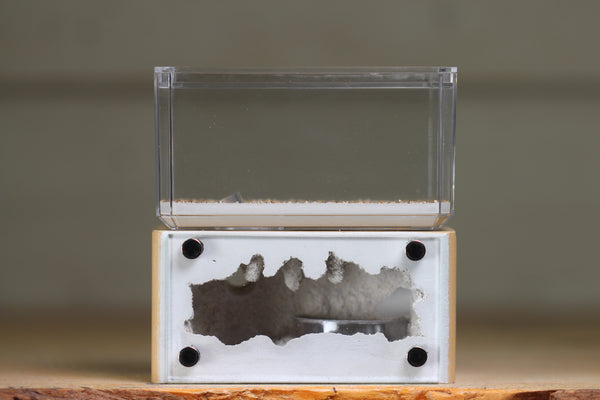 Mini Hearth (BF)(Beige 3063)