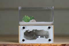 Mini Hearth (BF)(Beige 3066)