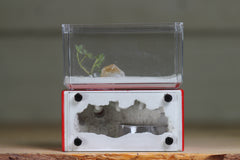 Mini Hearth (BF)(Red 3067)