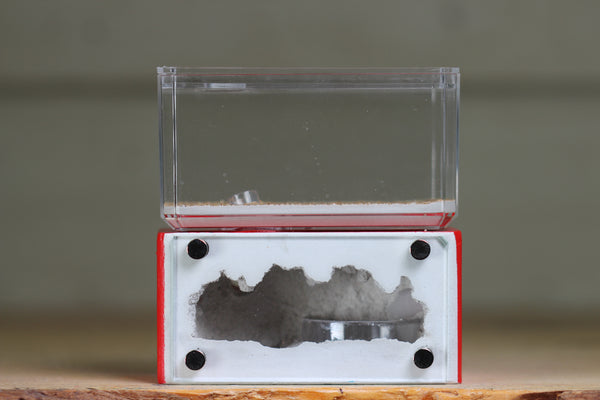 Mini Hearth (BF)(Red 3069)