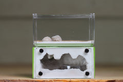 Mini Hearth (BF)(Lime 3072)