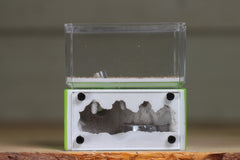 Mini Hearth (BF)(Lime 3075)