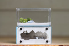 Mini Hearth (BF)(Light Blue 3079)