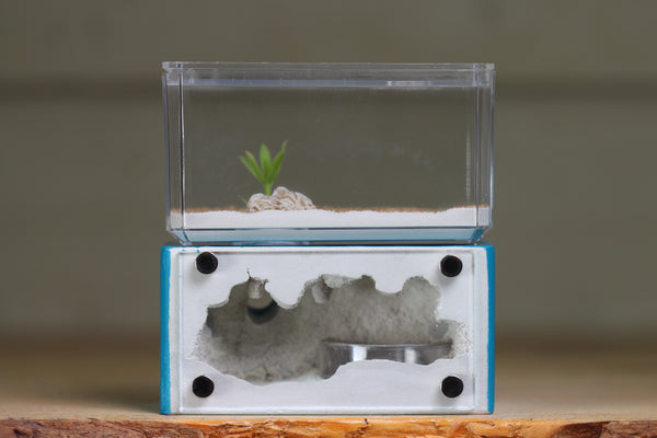 Mini Hearth (BF)(Aqua Blue 3080)