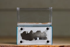 Mini Hearth (BF)(Aqua Blue 3082)