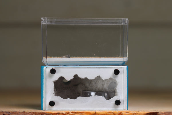 Mini Hearth (BF)(Aqua Blue 3083)