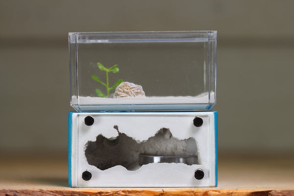 Mini Hearth (BF)(Aqua Blue 3084)