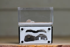 Mini Hearth, Bifurcated (Black 3651)