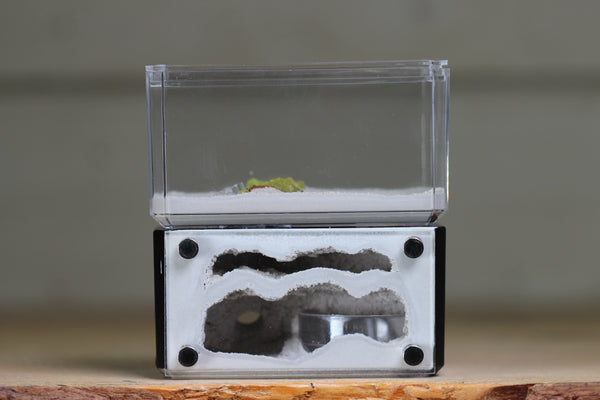 Mini Hearth, Bifurcated (Black 3652)