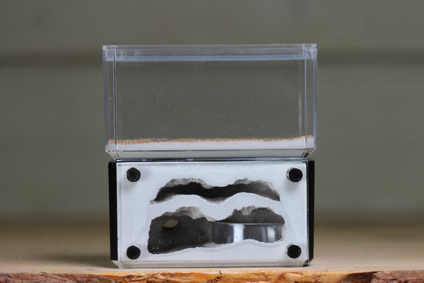 Mini Hearth, Bifurcated (Black 3653)