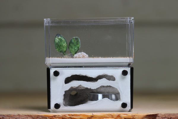Mini Hearth, Bifurcated (Black 3655)