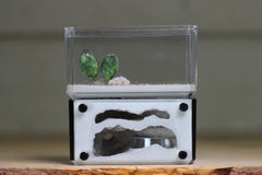 Mini Hearth, Bifurcated (Black 3655)