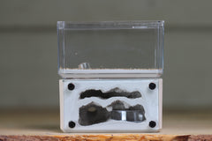 Mini Hearth, Bifurcated (Bone 3659)