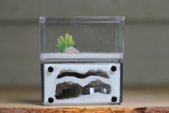 Mini Hearth, Bifurcated (Grey 3662)