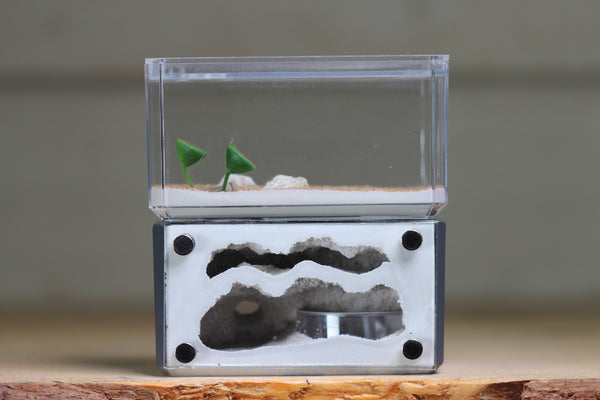 Mini Hearth, Bifurcated (Grey 3663)