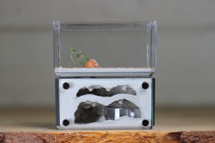 Mini Hearth, Bifurcated (Grey 3664)