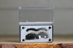 Mini Hearth, Bifurcated (Grey 3665)