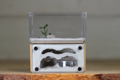 Mini Hearth, Bifurcated (Beige 3668)