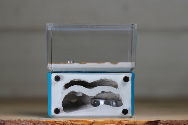 Mini Hearth, Bifurcated (Aqua Blue 3672)