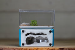 Mini Hearth, Bifurcated (Aqua Blue 3673)