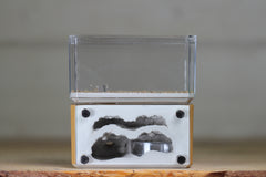 Mini Hearth, Bifurcated (Brown 3675)