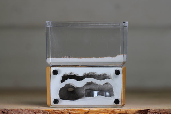 Mini Hearth, Bifurcated (Brown 3676)