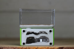 Mini Hearth, Bifurcated (Lime 3679)