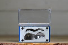 Mini Hearth, Bifurcated (Dark Blue 3684)