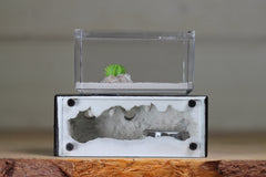 Mini Hearth XL (Black 3900)