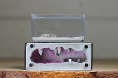 Mini Hearth XL (Black 3904)(GLOW)