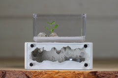 Mini Hearth XL (Bone 3925)