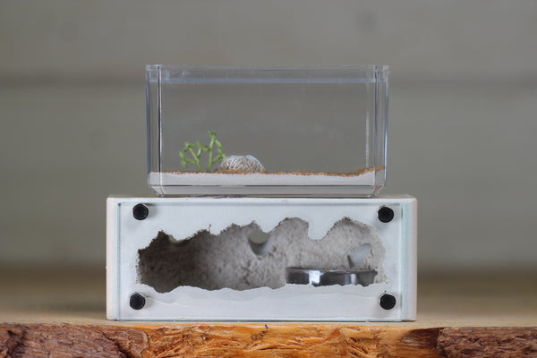 Mini Hearth XL (Bone 3927)