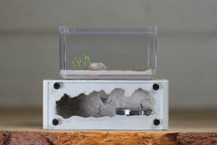 Mini Hearth XL (Bone 3927)