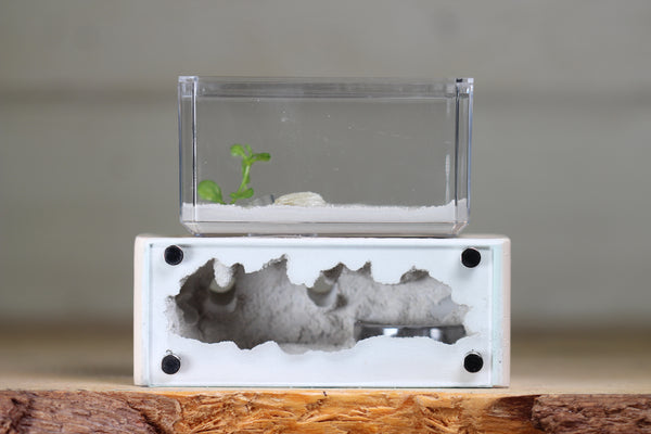 Mini Hearth XL (Bone 3930)