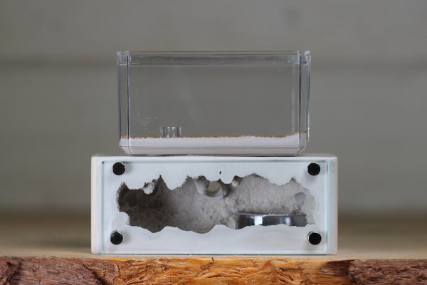 Mini Hearth XL (Bone 3932)