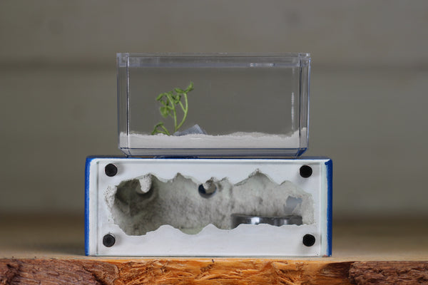 Mini Hearth XL (Dark Blue 3920)