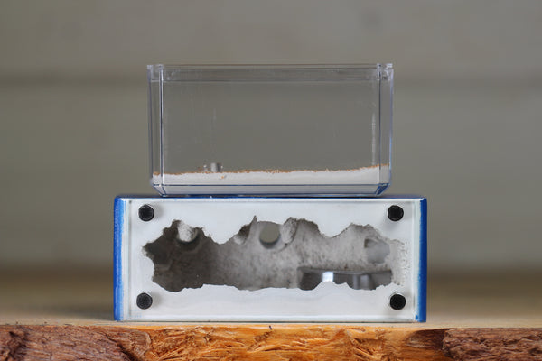 Mini Hearth XL (Dark Blue 3921)