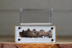 Mini Hearth XL (Brown 3936)