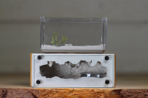 Mini Hearth XL (Brown 3934)