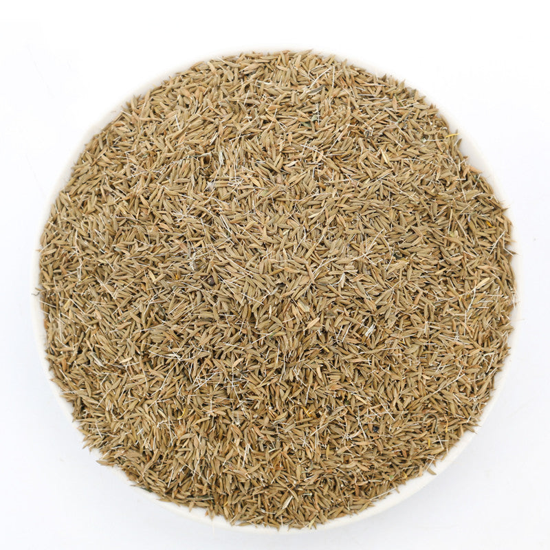 dandelion seeds for planting Dandelion Seeds